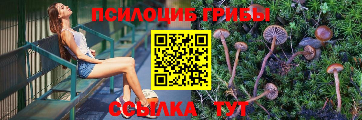 Псилоцибиновые грибы Psilocybine cubensis  Вход с VPN  Галлюциногенные грибы Psilocybine cubensis  Фурманов 