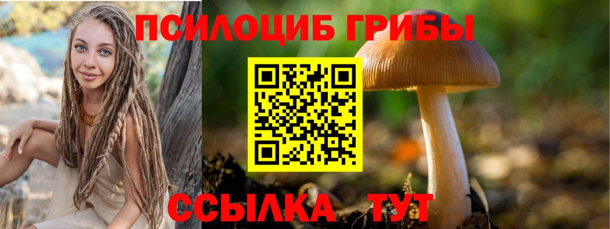 Псилоцибиновые грибы мухоморы Фурманов